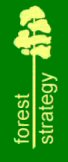 Forest Strategy Pty Ltd